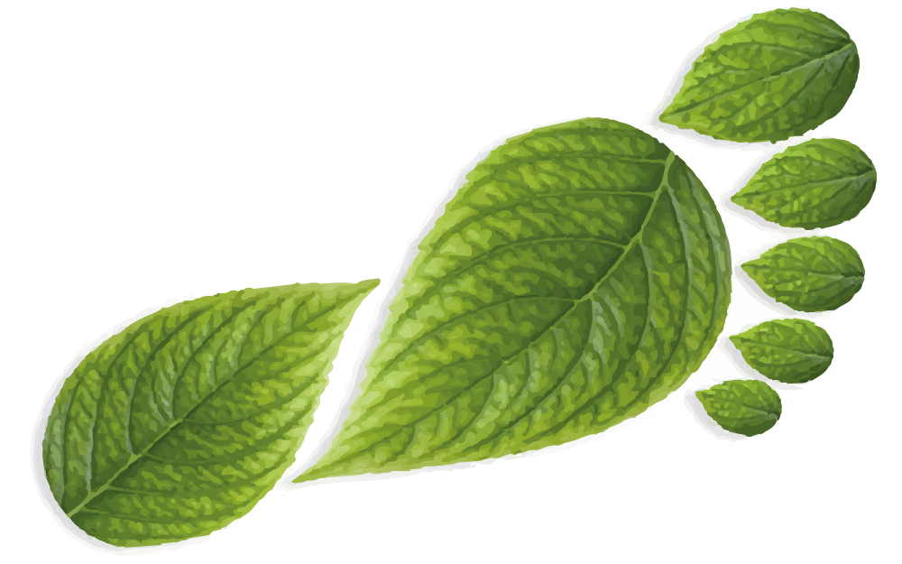 impronta ecologica